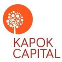 Kapok Capital Limited image 1